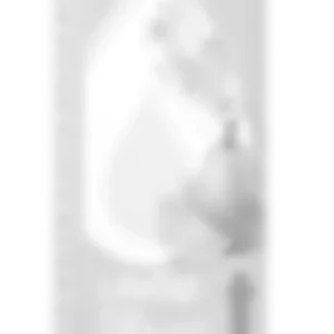 Alternative view of LifeSip Pear Lemon Twist