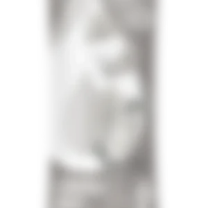 Alternative view of LifeSip Orange Mango