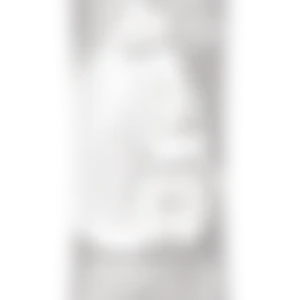 Alternative view of LifeSip Honeycrisp Apple