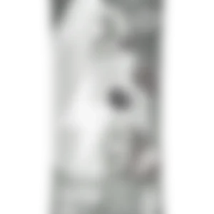 Alternative view of GoSip Kiwi Berry