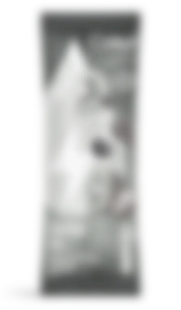 GoSip Kiwi Berry - Image 2