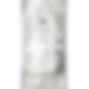 Alternative view of GoSip Lime