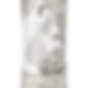 Alternative view of LifeSip Orange Clementine