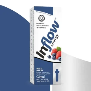 Reward: Inflow Energy Wild Berry